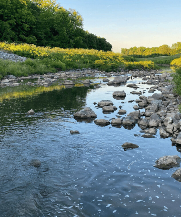 8 Mile Creek with water flowing over rocks